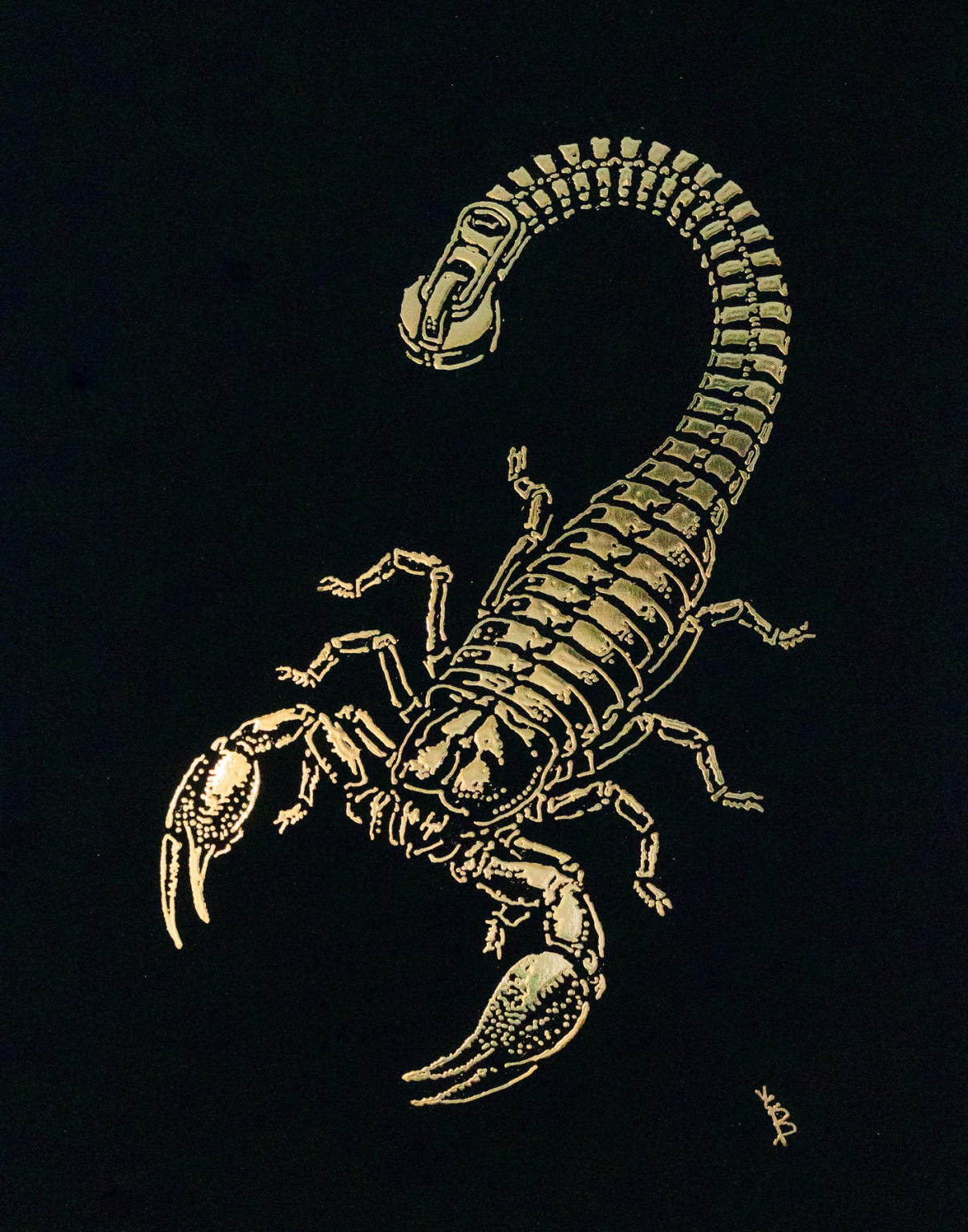 Scorpio Zipper