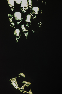 Solace — Detail