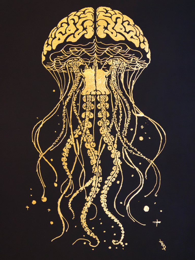 Aurelia Cerebralis